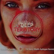 Nando Fortunato I M Sorry Melih Aydogan Remix Deep House 2024