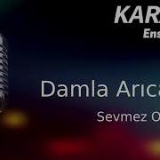 Karaoke Damla Arıcan Sevmez Olaydım