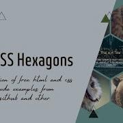 10 CSS Hexagons