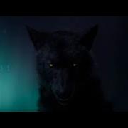 Running With The Wolves MV