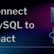 How To Connect MySQL To Express And React