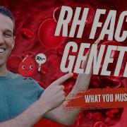 RH Factor Genetics Explained Why Is RH So Rare