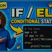 Условные операторы в Python Урок по If Else Elif для начинающих