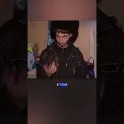 Бремя цыган