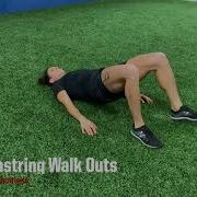 Hamstring Walk Outs