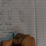 Lect 5 Instruction Format
