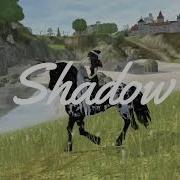 Echo MEP Part 5