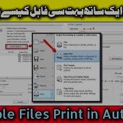 How To Publish Print Drawings From AutoCad Batch Printing In AutoCAD Multiple Plotting In AutoCad