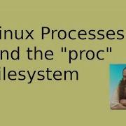 Процессы Linux и файловая система Proc