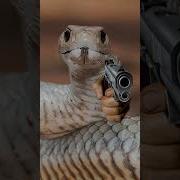 This Snake Is A PROBLEM