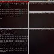 Custom Mininet Topology