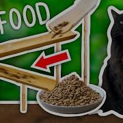 I Built A Cat Feeding Contraption