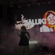 SALUKI ВЫЛЕЧИМ Live Алматы БЛФ 22 06 24
