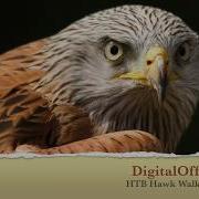 Path To OSCP HTB Hawk Walk Through
