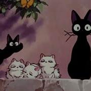 Rainbow Kitten Surprise It S Called Freefall Slowed Reverb