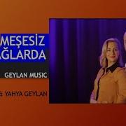 CANAN YAHYA GEYLAN Akustik Meşesiz Dağlarda Meleyen Kuzu