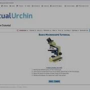 Virtual Microscope Browser Set Up YT
