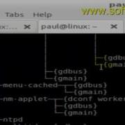 Difference Between Local Shell Variable And Environment Variable In BASH Shell Terminal