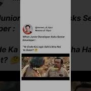 When Junior Developer Asks Senior Developer Funny Programming Meme Shortvedio