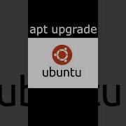 Learn APT Commands Apt Update Apt Upgrade