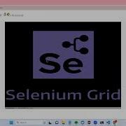 Healenium With Docker Setup Run Selenium TestCases In Docker Container