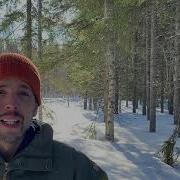 New Features In The App Arboreal Forest March 2021