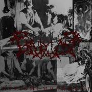 Mortuary Love Song