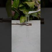 Heat Calcium Carbonate Shorts Experiment