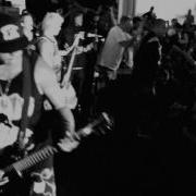 TERROR Stick Tight OFFICIAL VIDEO