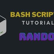 Basic Bash Scripting Title Random