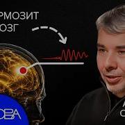 ЗНАНИЯ О МОЗГЕ КОТОРЫЕ ПЕРЕВЕРНУТ ВАШЕ СОЗНАНИЕ
