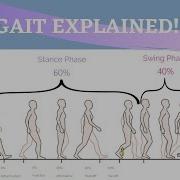 Gait Range Of Motion Animation