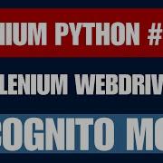 Selenium Python 27 Incognito Mode Browser
