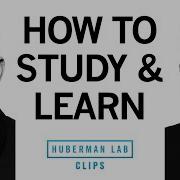How To Study Learn Using Active Recall Dr Cal Newport Dr Andrew Huberman