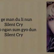 Stray Kids Silent Cry Easy Lyrics