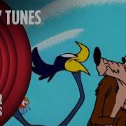 Looney Tunes Wile E Coyote Vs Road Runner Mega Compilation Vol 7 Warner Classics