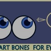How To Make Smart Bones For Eyes Coise Anime Studio Moho Tutorial 2019