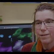 OpenSTEM Labs Digital Fluorescence Microscope