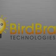 Hummingbird Snap Programming Troubleshooting