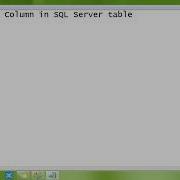 Column Case Sensitive In Sql Sever Table