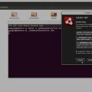 How To Execute Bin File In Linux