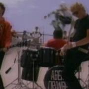 Agent Orange A Cry For Help In A World Gone Mad