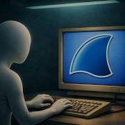 How Hackers Steal Passwords With Wireshark