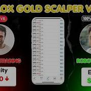 Don T Trade Gold Without Seeing This VELOX 4 7 Result