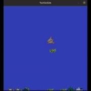 How To Use Turtlesim Football ROS Package Video 2