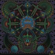 Fungus Funk Intergalactic FM