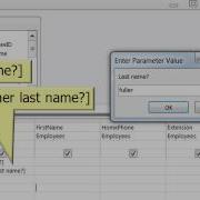 Access Parameter Queries