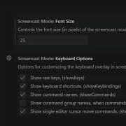 How To Toggle Screencast Mode In VSCode IDE