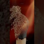 A Black Match Stick Up Close Urday Satisfying
