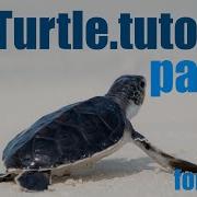 Python Turtle Tutorial Lesson 5 For Loops